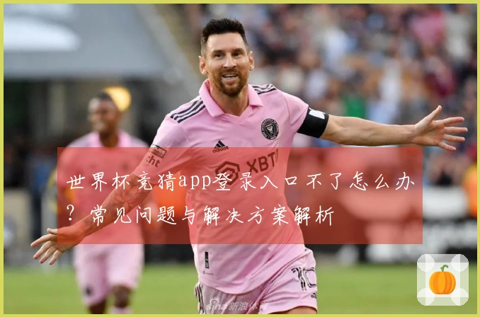 世界杯竞猜app登录入口不了怎么办？常见问题与解决方案解析